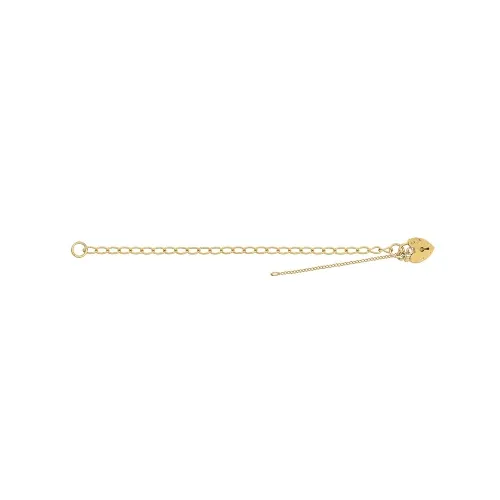 9ct Yellow Gold Ladies' Charm Bracelet 3.20g